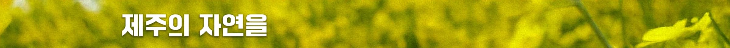 미카의 달콤한 작업실